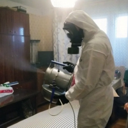 Дезинфекция от клопов в Свирске